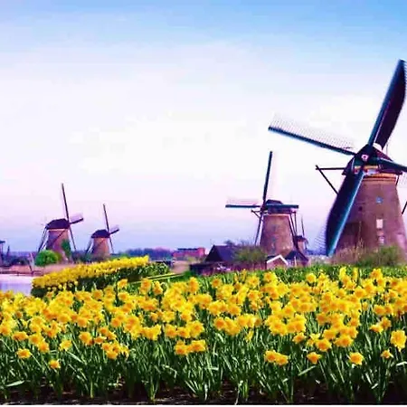 Pardoen B&B Poortugaal