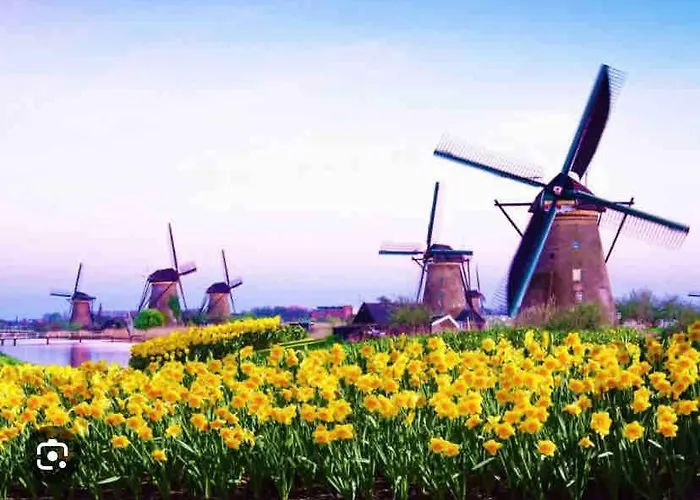 Pardoen B&B Poortugaal